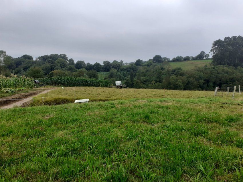 c8fe0b05727c02a1ed31ff74d1e800943e52274b