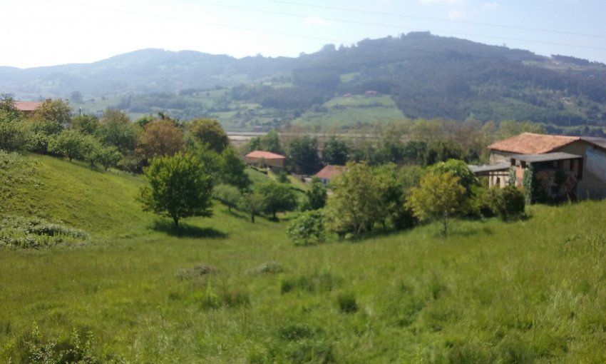 Fincas edificables en VILLAVICIOSA  (FIN