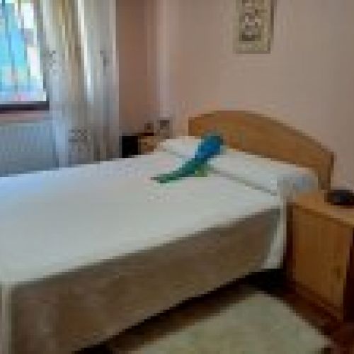 Apartamento de 1 dormitorio en Santa Eulalia de CABRANES  (PIS