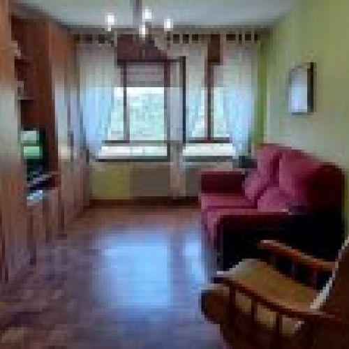 Apartamento de 1 dormitorio en Santa Eulalia de CABRANES  (PIS