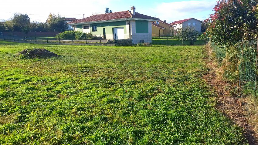 Finca edificable en Oles VILLAVICIOSA (FIN