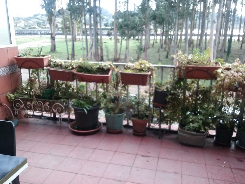 Apartamento en El Puntal (VILLAVICIOSA)  (PIS