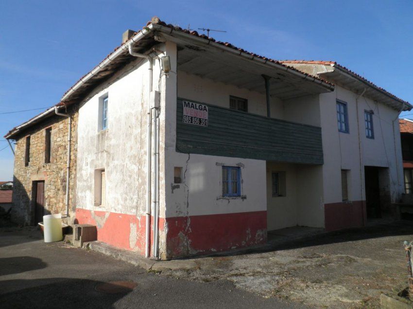 P1010005