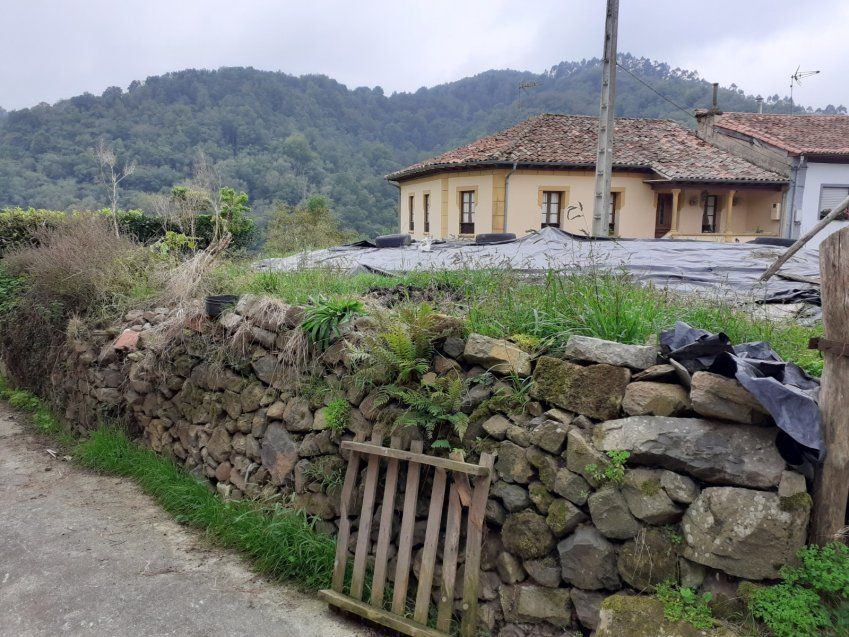 Casa de piedra y Cuadra para rehabilitar en CABRANES  (REAB