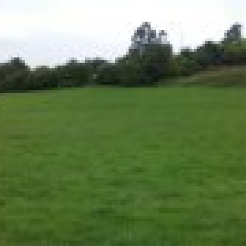Finca edificable en VILLAVICIOSA  (FIN