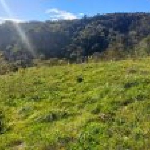 Finca edificable en CABRANES  (FIN