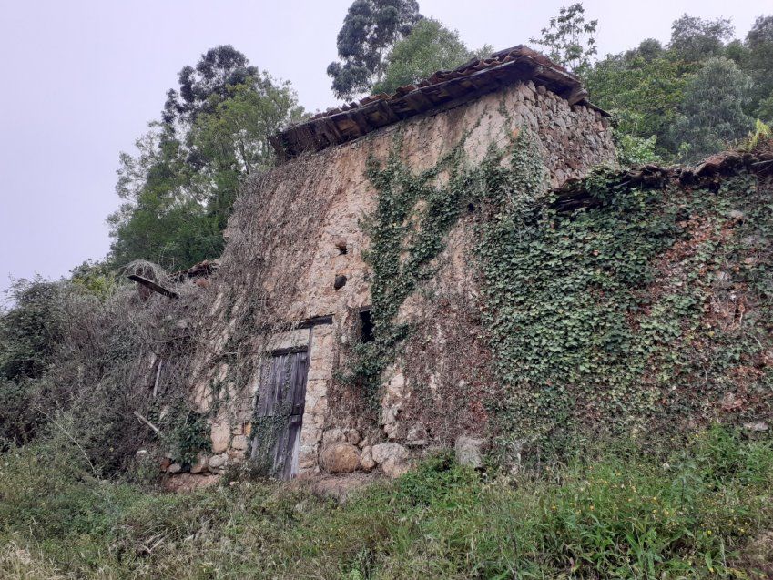 Casa, Cuadra y Llagar para rehabilitar en VILLAVICIOSA  (REAB