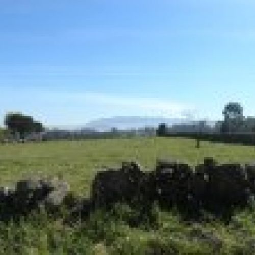 Venta de Fincas Edificables en OLES (VILLAVICIOSA)