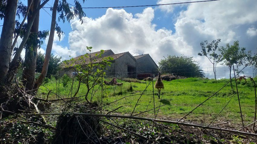 Casa de piedra con Cuadras y Llagar para reformar en Quintueles VILLAVICIOSA (REAB