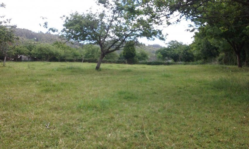 2 Fincas edificables en Selorio   VILLAVICIOSA  (FIN