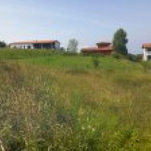 Finca edificable en zona de Selorio   VILLAVICIOSA  (FIN