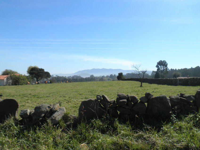 Venta de Fincas Edificables en OLES (VILLAVICIOSA)