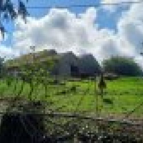 Casa de piedra con Cuadras y Llagar para reformar en Quintueles VILLAVICIOSA (REAB