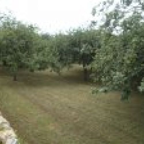 Venta de finca edificable en Villaviciosa  (FIN