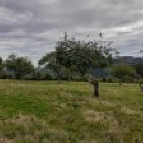 Casa de piedra independiente para rehabilitar en VILLAVICIOSA  (REAB