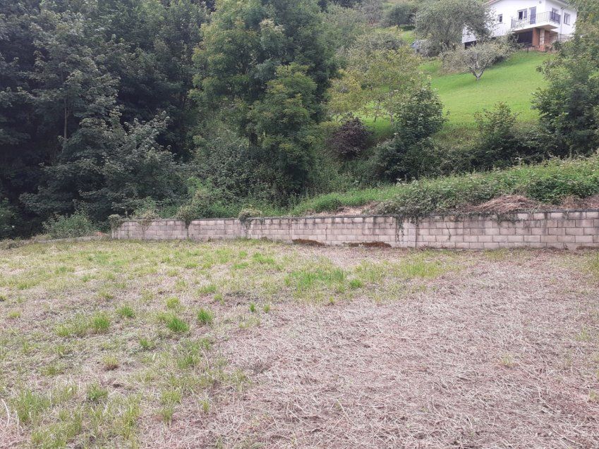Finca edificable y Cuadra en CABRANES  (FIN