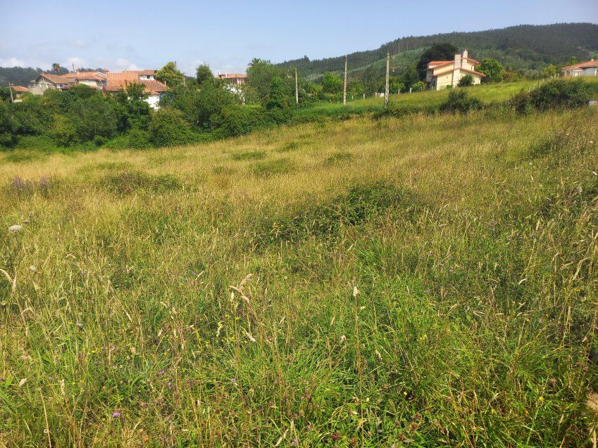 Finca edificable en zona de Selorio   VILLAVICIOSA  (FIN