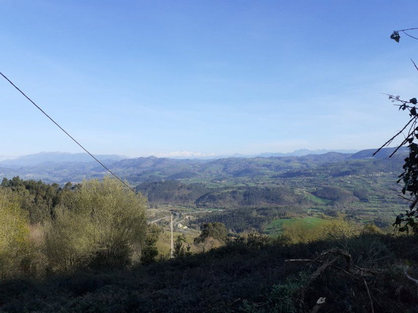 Casa de piedra independiente para reformar en VILLAVICIOSA  (REAB