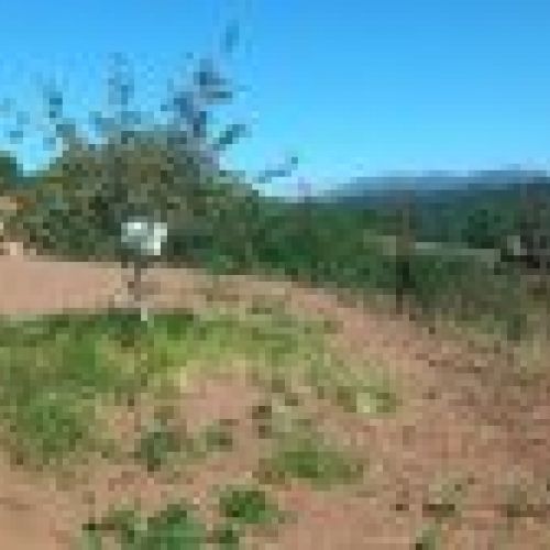 Finca Edificable y Llagar de piedra en VILLAVICIOSA  (FIN