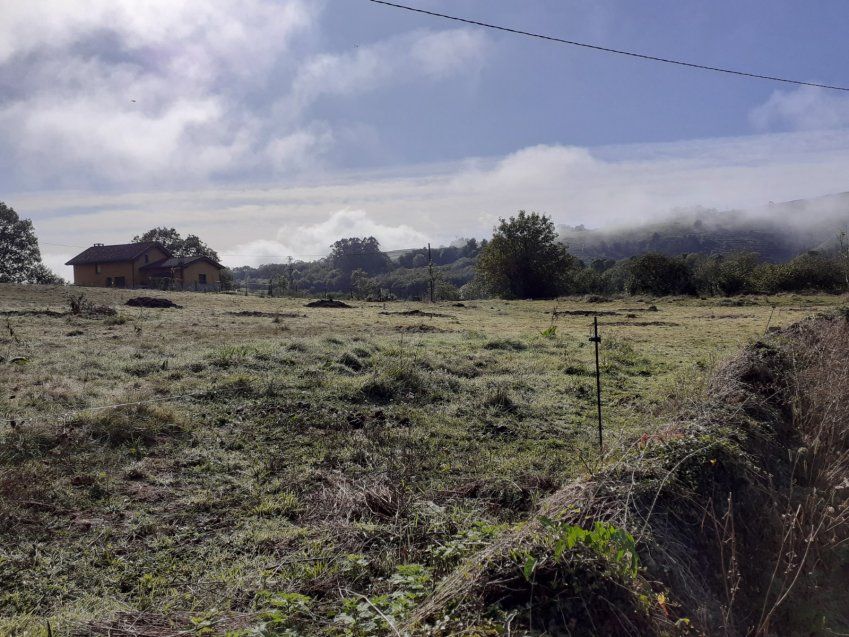 Finca edificable y parcelable en Pintueles   PILOÑA  (FIN