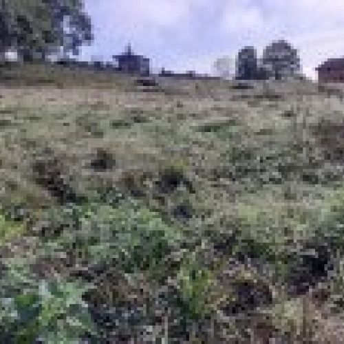 Finca edificable y parcelable en Pintueles   PILOÑA  (FIN