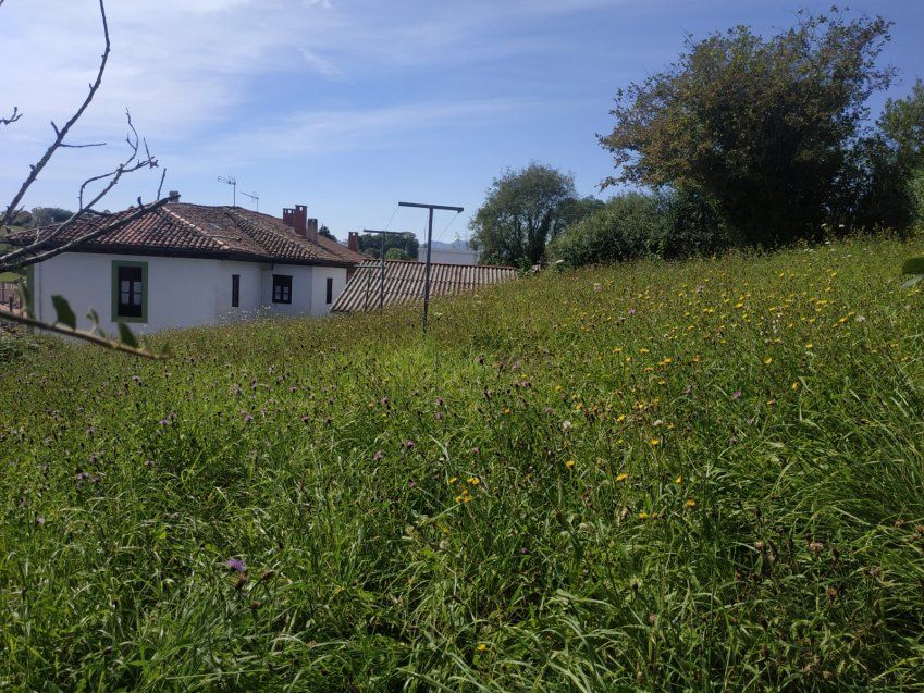 Casa de piedra para reformar en CABRANES  (REAB