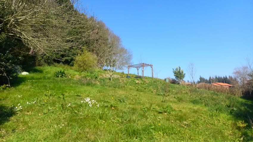 ca3307f435d7a4caabde4fe61eabbf8e028ea95c