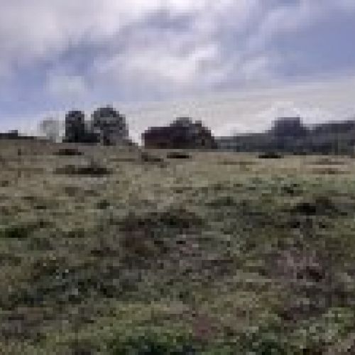 Finca edificable y parcelable en Pintueles   PILOÑA  (FIN