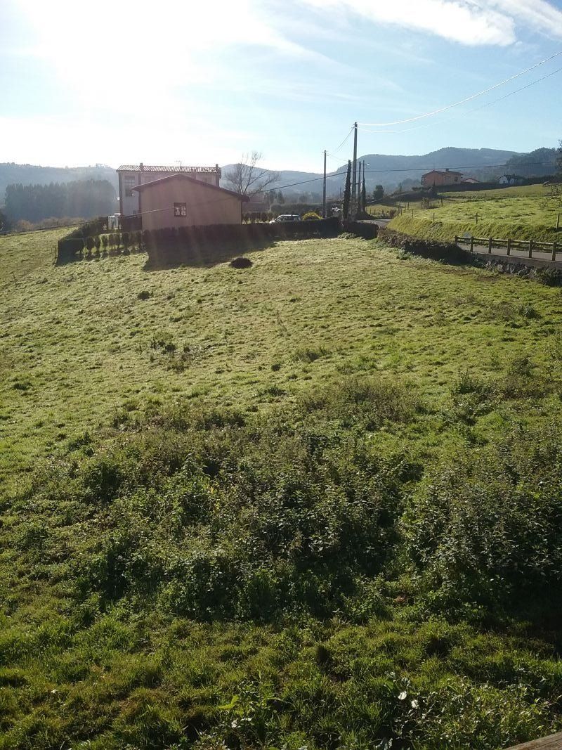 Fincas edificables en VILLAVICIOSA (FIN
