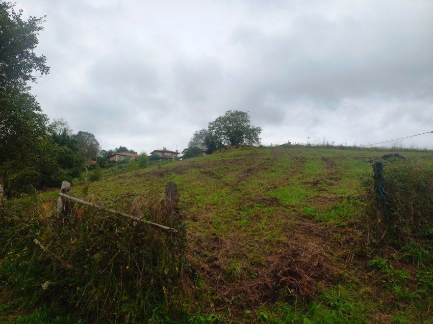 Finca edificable en CABRANES