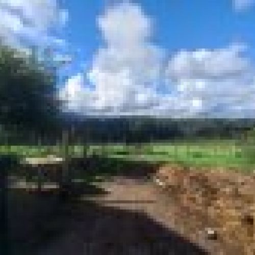 Casa de piedra con Cuadras y Llagar para reformar en Quintueles VILLAVICIOSA (REAB