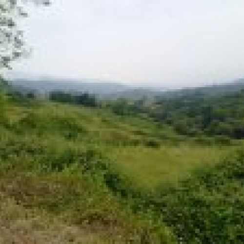 Finca con nave en VILLAVICIOSA  (FIN