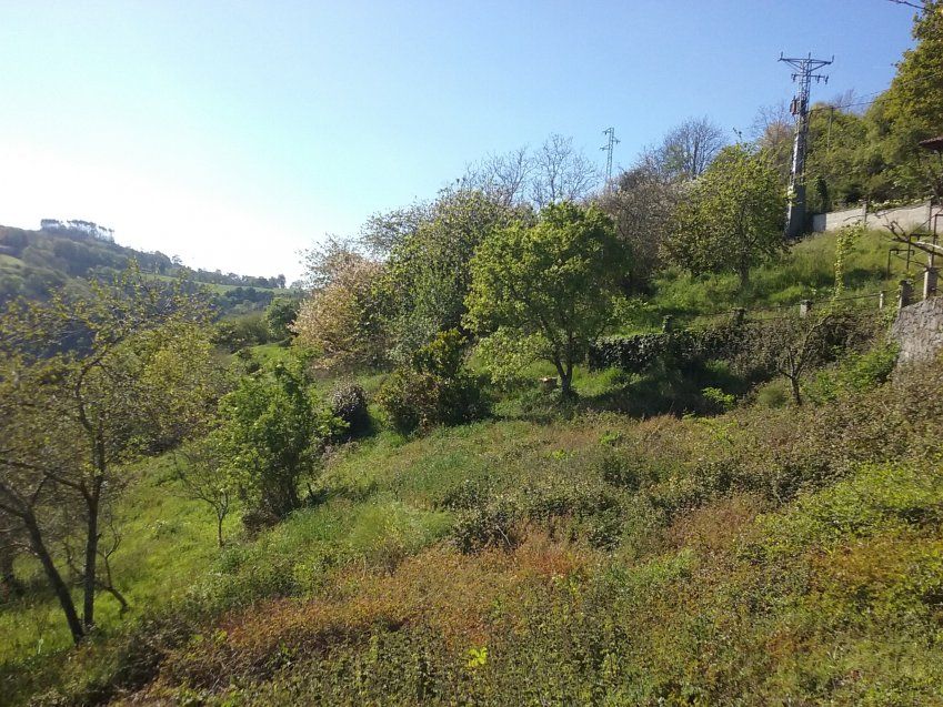 Casa de piedra para reformar en Villaviciosa (CAS