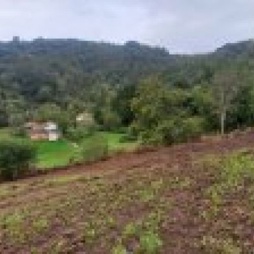 Finca edificable en CABRANES
