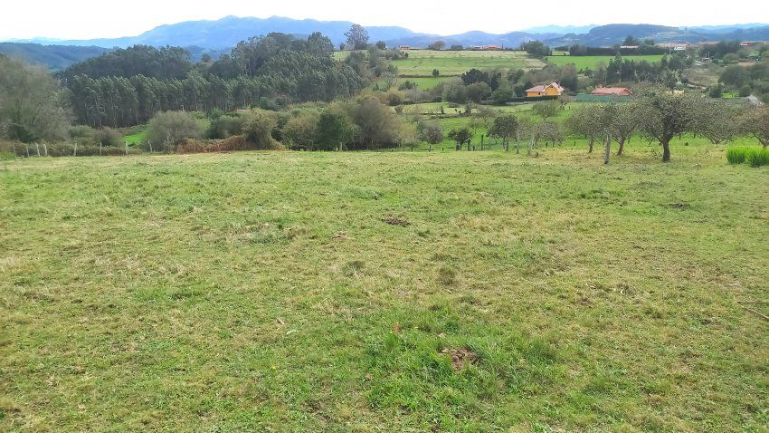 3 Fincas NO edificables en Tazones VILLAVICIOSA  (FIN