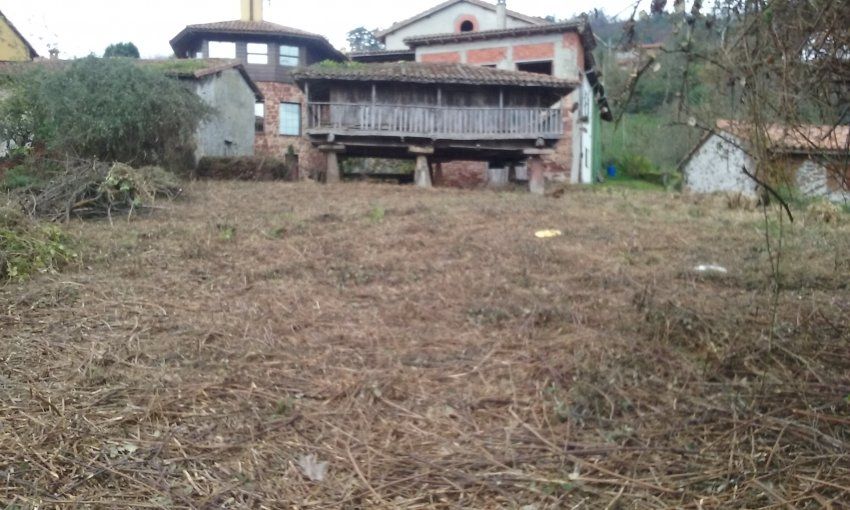 Finca edificable con Panera en Villaviciosa  (FIN