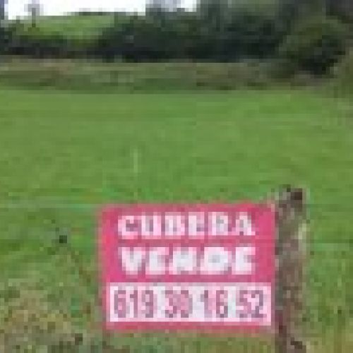 bbd19f4818cfbc17caee88df318f34e9b90ba523