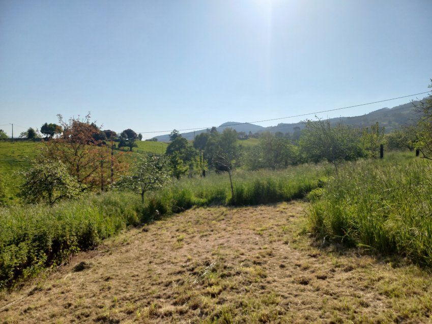 Finca edificable de 3
