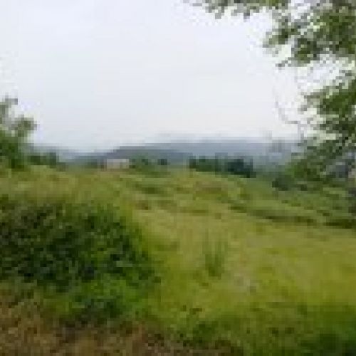 Finca con nave en VILLAVICIOSA  (FIN