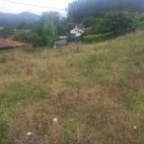 Finca Edificable en El Puntal   VILLAVICIOSA  (FIN
