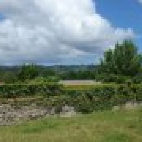 2 Fincas edificables en Selorio   VILLAVICIOSA  (FIN