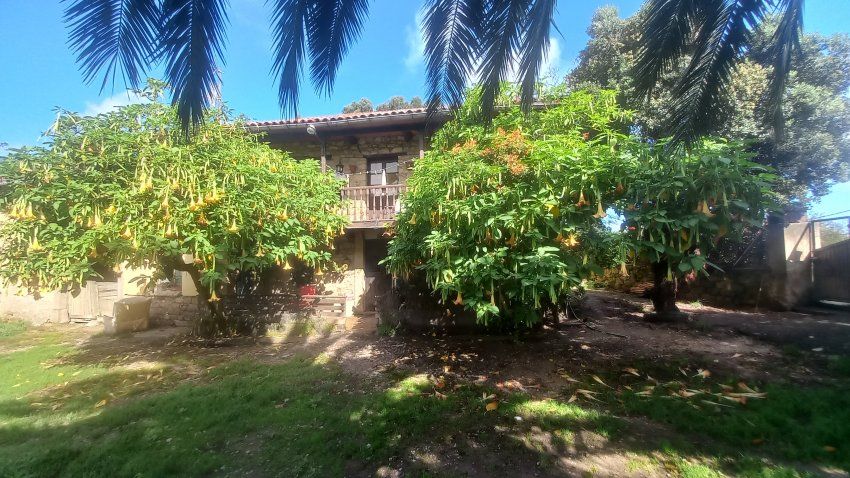 Casa de piedra con Cuadras y Llagar para reformar en Quintueles VILLAVICIOSA (REAB