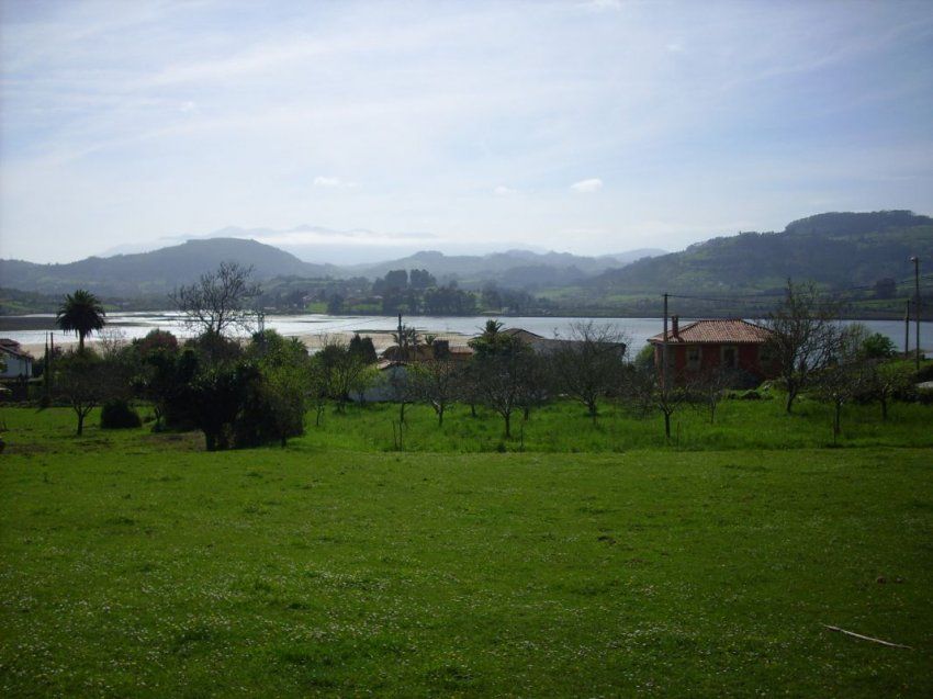 IMG 0005