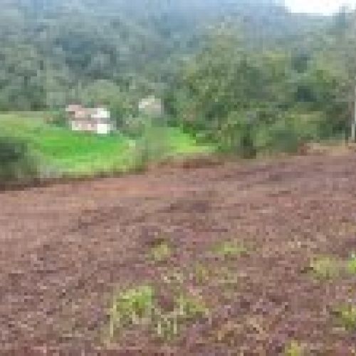 Finca edificable en CABRANES