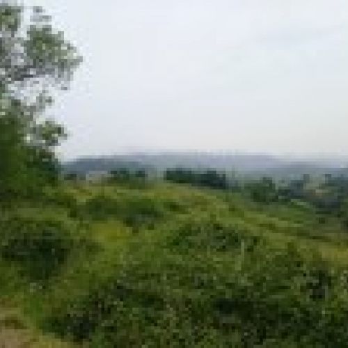 Finca con nave en VILLAVICIOSA  (FIN