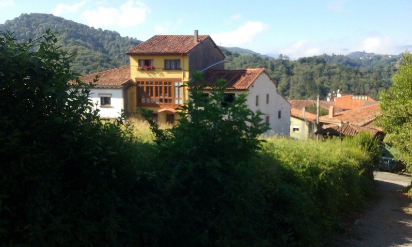 Finca edificable en el centro del casco urbano de Santolaya   CABRANES  (FIN
