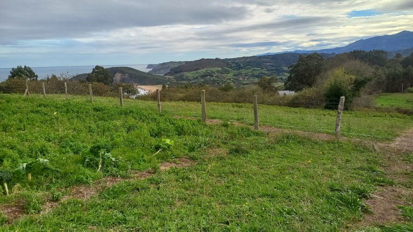 3 Fincas NO edificables en Tazones VILLAVICIOSA  (FIN