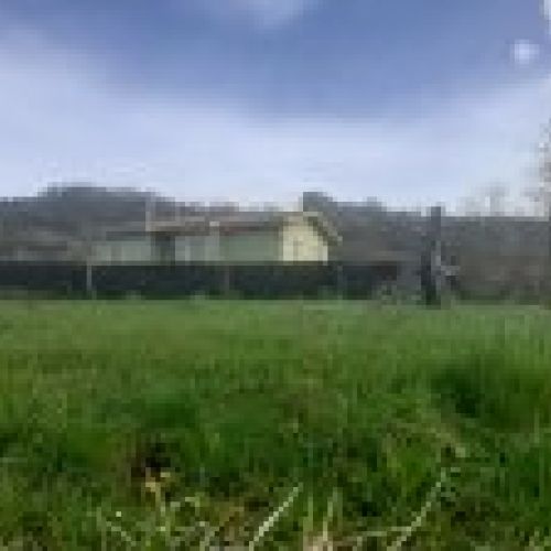 Finca edificable en Selorio   VILLAVICIOSA  (FIN