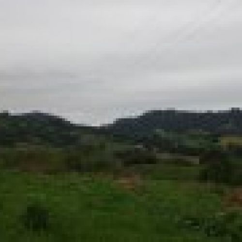 Casa de piedra para rehabilitar en VILLAVICIOSA  (REAB