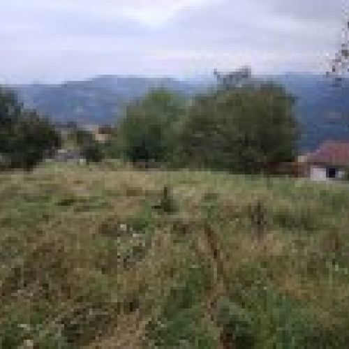 Finca edificable en CABRANES  (FIN